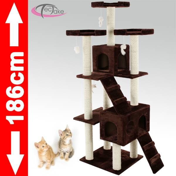 arbre a chat pas cher suisse